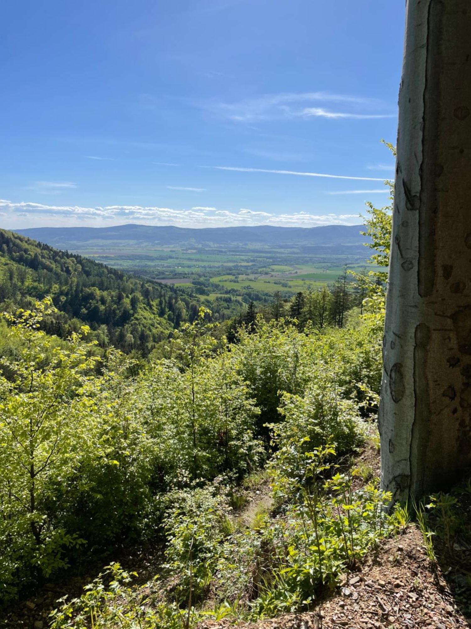 Swierkowy Zakatek Idzikow Exteriér fotografie