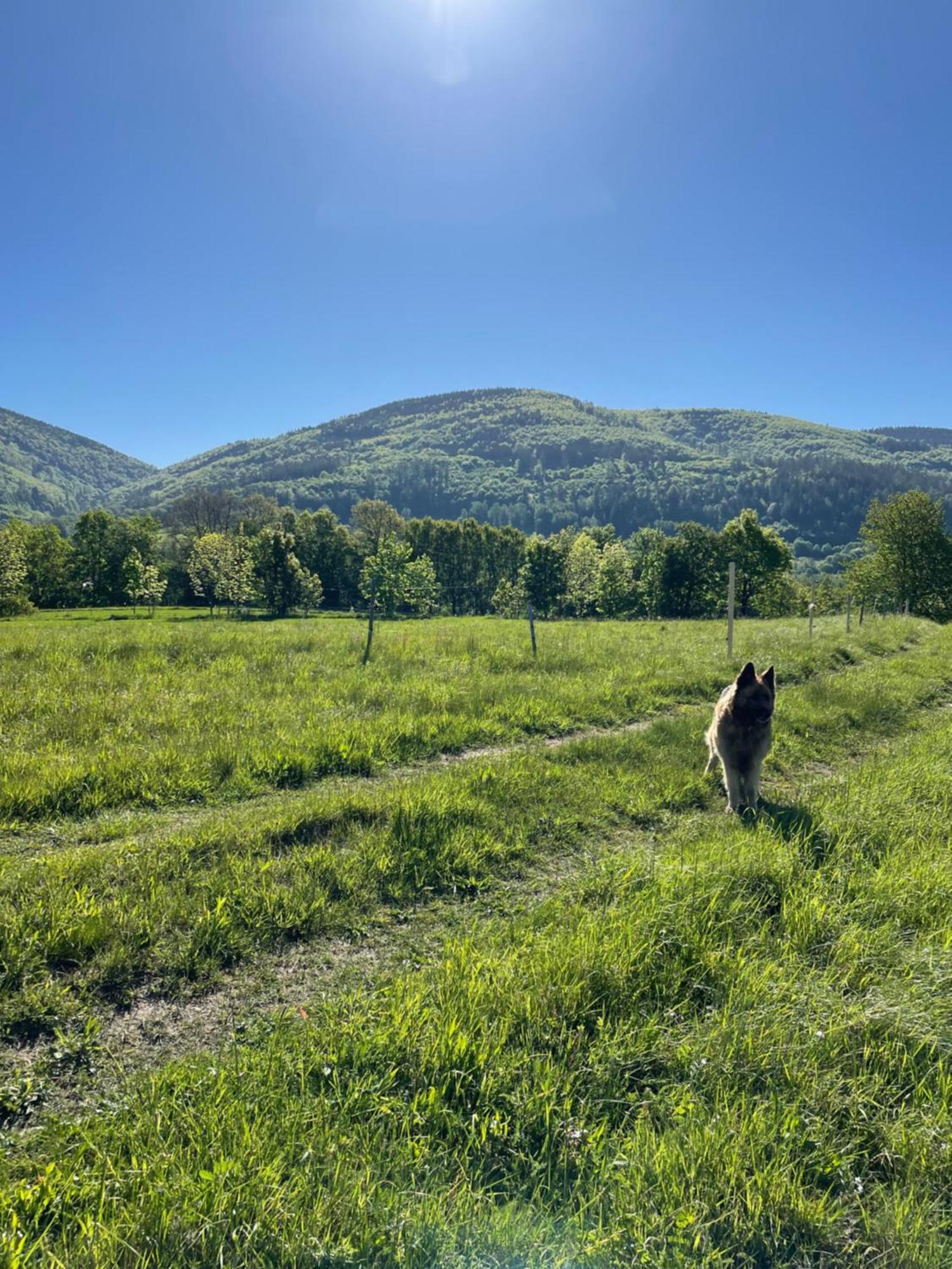 Swierkowy Zakatek Idzikow Exteriér fotografie